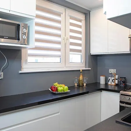 Luxus Apartament Alex * 格丁尼亚