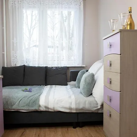 Luxus Apartament Alex * 格丁尼亚